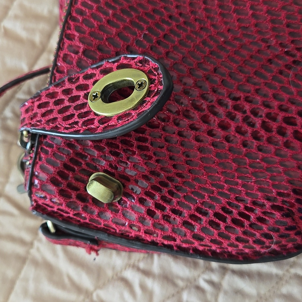 Joy Susan Python Mini Wristlet Clutch - Picture 8 of 12